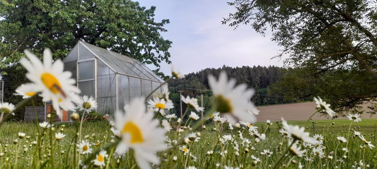 Ferienwohnung Eichkatzel Zell المظهر الخارجي الصورة